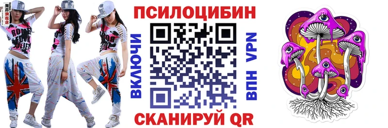 blacksprut ONION  Светлогорск  Галлюциногенные грибы Psilocybe 