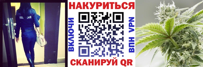 где купить наркоту  Светлогорск  Каннабис индика 